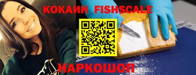 дмт Кингисепп