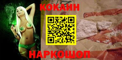 дмт Кингисепп