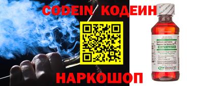 дмт Кингисепп