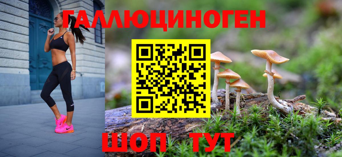 Галлюциногенные грибы мицелий  Вход с VPN  Кудымкар 